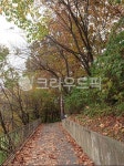 path, 길, nature, 자연, outdoors, 사진,이미지,일러스트,캘리그라피 - 마루2021작가 크라우드픽 - 저작권 걱정 없는 상업용 이미지