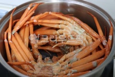 홍게, 게, 영덕게, crab, 해물, 사진,이미지,일러스트,캘리그라피 - 오월토끼작가 크라우드픽 - 저작권 걱정 없는 상업용 이미지