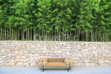 대나무, 담양, 죽녹원, 의자, 죽림, 사진,이미지,일러스트,캘리그라피 - sinsy작가 크라우드픽 - 저작권 걱정 없는 상업용 이미지