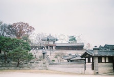 창덕궁, 건축물, 한옥, 궁, 고궁, 사진,이미지,일러스트,캘리그라피 - passoyoung작가 크라우드픽 - 저작권 걱정 없는 상업용 이미지
