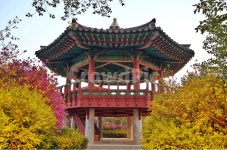 매봉산정, 정자, 누각, 매봉산, 쉼터, 사진,이미지,일러스트,캘리그라피 - Deep bLUE작가 크라우드픽 - 저작권 걱정 없는 상업용 이미지