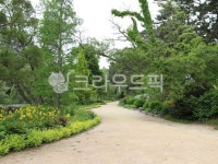 cheonripoarboretum, 천리포수목원, 태안, 힐링, 녹색길, 사진,이미지,일러스트,캘리그라피 - miso1004작가 크라우드픽 - 저작권 걱정 없는... 