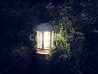 등불, 등, 밤, 풀숲, 풀꽃, 사진,이미지,일러스트,캘리그라피 - 05.25작가 크라우드픽 - 저작권 걱정 없는 상업용 이미지