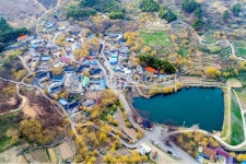 산수유마을, 현천마을, 산수유, 개화, 만개, 사진,이미지,일러스트,캘리그라피 - cstrike작가 크라우드픽 - 저작권 걱정 없는 상업용 이미지