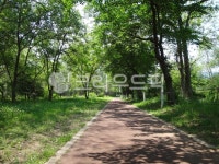 path, 길, nature, 자연, outdoors, 사진,이미지,일러스트,캘리그라피 - 영수길작가 크라우드픽 - 저작권 걱정 없는 상업용 이미지