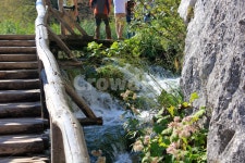 플리트비체, 자연, 나무다리, 교량, 호수, 사진,이미지,일러스트,캘리그라피 - 세상속으로작가 크라우드픽 - 저작권 걱정 없는 상업용 이미지