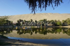 페루, 이카, 오아시스, 사막, 마을, 사진,이미지,일러스트,캘리그라피 - Dino작가 크라우드픽 - 저작권 걱정 없는 상업용 이미지