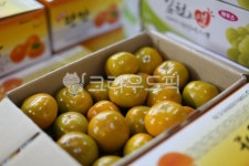 food, 음식, 감, 단감, 진영단감, 사진,이미지,일러스트,캘리그라피 - 투채작가 크라우드픽 - 저작권 걱정 없는 상업용 이미지