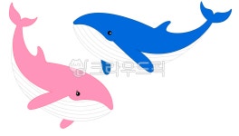 돌고래, 핑크돌고래, 흰수염고래, 고래, 고래일러스트, 사진,이미지,일러스트,캘리그라피 - 쏠랑 ssollang작가 크라우드픽 - 저작권 걱정 없는... 