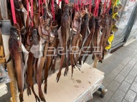 재래시장, 북어, 황태, 건어물, 황태포, 사진,이미지,일러스트,캘리그라피 - 애드홍작가 크라우드픽 - 저작권 걱정 없는 상업용 이미지