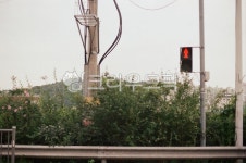 trafficlight, 신호등, 도로, 횡단보도신호등, 보행자신호등, 사진,이미지,일러스트,캘리그라피 - 제이엘포토작가 크라우드픽 - 저작권 걱정... 