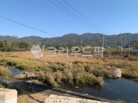 water, 물, 풍경, 풀, 풀숲, 사진,이미지,일러스트,캘리그라피 - Njiyonkim1작가 크라우드픽 - 저작권 걱정 없는 상업용 이미지