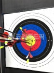 arrow, 화살, 양궁, 양궁장, archery, 사진,이미지,일러스트,캘리그라피 - Niop456aa작가 크라우드픽 - 저작권 걱정 없는 상업용 이미지