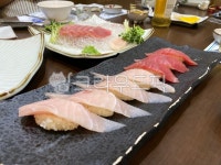 외식, 식당밥, 참치회, 맛집, 회초밥, 사진,이미지,일러스트,캘리그라피 - 아보카도포토작가 크라우드픽 - 저작권 걱정 없는 상업용 이미지