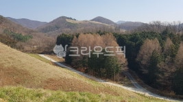 서산, 용비지, 용현저수지, 목장, 농장, 사진,이미지,일러스트,캘리그라피 - cem309작가 크라우드픽 - 저작권 걱정 없는 상업용 이미지