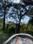 나무, 자연, nature, spa, 족욕, 사진,이미지,일러스트,캘리그라피 - yeobb작가 크라우드픽 - 저작권 걱정 없는 상업용 이미지