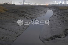 갯벌, 갯골, 진흙, 뻘, mud, 사진,이미지,일러스트,캘리그라피 - Deep bLUE작가 크라우드픽 - 저작권 걱정 없는 상업용 이미지