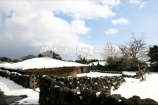 제주도, 겨울, 눈, 초가집, 돌담, 사진,이미지,일러스트,캘리그라피 - soolpc작가 크라우드픽 - 저작권 걱정 없는 상업용 이미지