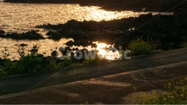 법환포구, 제주도, 서귀포, 제주, 유채꽃, 사진,이미지,일러스트,캘리그라피 - 인추라기작가 크라우드픽 - 저작권 걱정 없는 상업용 이미지