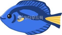 물고기, 해양생물, 열대어, 바닷물고기, 블루탱, 사진,이미지,일러스트,캘리그라피 - 수수작가 크라우드픽 - 저작권 걱정 없는 상업용 이미지