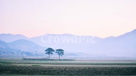 하동, 최참판, 부부송, 논, 박경리소설, 사진,이미지,일러스트,캘리그라피 - 시흥갈매기작가 크라우드픽 - 저작권 걱정 없는 상업용 이미지