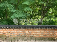 전통건축물, 한옥, tree, 나무, 담, 사진,이미지,일러스트,캘리그라피 - klimt72작가 크라우드픽 - 저작권 걱정 없는 상업용 이미지