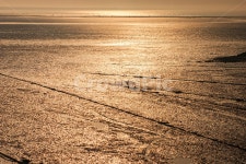 자연, 갯벌, 바다, 노을, 황금빛노을, 사진,이미지,일러스트,캘리그라피 - 장구작가 크라우드픽 - 저작권 걱정 없는 상업용 이미지