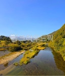 강, 주천강, 가을, 하늘, 자연, 사진,이미지,일러스트,캘리그라피 - DuggyDana작가 크라우드픽 - 저작권 걱정 없는 상업용 이미지