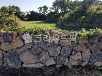 돌담, stonewall, 벽, 제주돌담, 올레길, 사진,이미지,일러스트,캘리그라피 - 도두삼촌작가 크라우드픽 - 저작권 걱정 없는 상업용 이미지