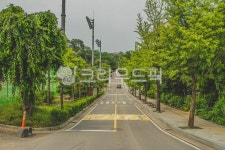 서울, 캠퍼스, 고려대학교, 고려대학교서울캠퍼스, 고대, 사진,이미지,일러스트,캘리그라피 - imlover작가 크라우드픽 - 저작권 걱정 없는... 