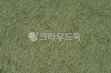 바닥, 운동장, 축구장, 인조잔디, 풋살장, 사진,이미지,일러스트,캘리그라피 - eatfood7작가 크라우드픽 - 저작권 걱정 없는 상업용 이미지