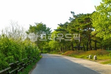 서울, 상암동, 공원, 난지천, 난지천공원, 사진,이미지,일러스트,캘리그라피 - imlover작가 크라우드픽 - 저작권 걱정 없는 상업용 이미지