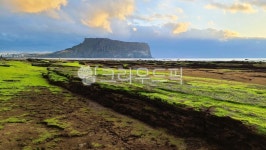 옥외, 성산일출봉, 하늘, 구름, 일출, 사진,이미지,일러스트,캘리그라피 - 숲속향기작가 크라우드픽 - 저작권 걱정 없는 상업용 이미지