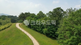 오솔길, 고향길, 정든길, 통로, 걷고싶은길, 사진,이미지,일러스트,캘리그라피 - Njyj9130작가 크라우드픽 - 저작권 걱정 없는 상업용 이미지