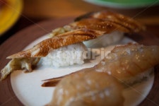 초밥, 스시, sushi, 참치초밥, 연어초밥, 사진,이미지,일러스트,캘리그라피 - 102style작가 크라우드픽 - 저작권 걱정 없는 상업용 이미지