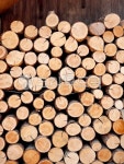 목재, 통나무, lumber, 재목, wood, 사진,이미지,일러스트,캘리그라피 - fragileant작가 크라우드픽 - 저작권 걱정 없는 상업용 이미지