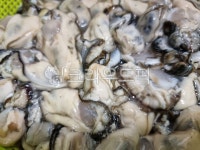 seafood, 해물, food, 음식, 굴, 사진,이미지,일러스트,캘리그라피 - 윤유니작가 크라우드픽 - 저작권 걱정 없는 상업용 이미지