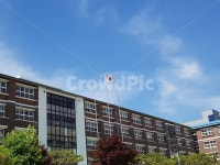 송북초, 송북초등학교, 전주, 초등학교, 하늘, 사진,이미지,일러스트,캘리그라피 - 현아_HYUNA작가 크라우드픽 - 저작권 걱정 없는 상업용 이미지
