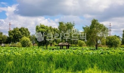 자연, nature, 옥외, outdoors, 정자, 사진,이미지,일러스트,캘리그라피 - 으치리작가 크라우드픽 - 저작권 걱정 없는 상업용 이미지