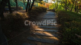 공원, 가을, 동산, 산책로, 길, 사진,이미지,일러스트,캘리그라피 - 퓨처작가 크라우드픽 - 저작권 걱정 없는 상업용 이미지