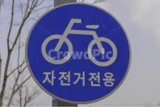 자전거전용, 표지판, sign, 자전거, 도로표지판, 사진,이미지,일러스트,캘리그라피 - CSDrakeP작가 크라우드픽 - 저작권 걱정 없는 상업용 이미지