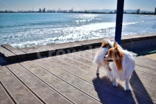 포항, 바다, 빠삐용, 산책, 신남, 사진,이미지,일러스트,캘리그라피 - 수만작가 크라우드픽 - 저작권 걱정 없는 상업용 이미지