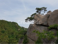 용봉산, 산, 풍경, 바위, 구름, 사진,이미지,일러스트,캘리그라피 - 은하수작가 크라우드픽 - 저작권 걱정 없는 상업용 이미지