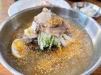 냉면, 물냉면, 여름음식, 계절음식, 고기, 사진,이미지,일러스트,캘리그라피 - 즈니작가 크라우드픽 - 저작권 걱정 없는 상업용 이미지