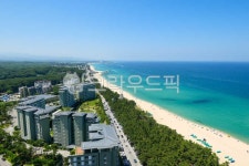 강릉, 강원도, 경포대해변, 경포대, 해안선, 사진,이미지,일러스트,캘리그라피 - sinsy작가 크라우드픽 - 저작권 걱정 없는 상업용 이미지