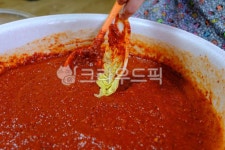 김치, 김장, 음식, 배추김치, 쿠킹, 사진,이미지,일러스트,캘리그라피 - 독버섯찌개작가 크라우드픽 - 저작권 걱정 없는 상업용 이미지