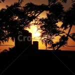 전남, 전라남도, 광주, 수완지구, 나무, 사진,이미지,일러스트,캘리그라피 - 태극작가 크라우드픽 - 저작권 걱정 없는 상업용 이미지