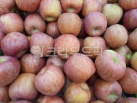 용사복싱앤킥다이어트 | 사과, 농산물, 사과즙, 과일, 다이어트, 사진,이미지,일러스트,캘리그라피 - 용사모작가 크라우드픽 - 저작권 걱정 없는 상업용 이미지