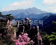 도봉산수아웃도어 | outdoors, nature, 도봉산, 봄, 진달래, 사진,이미지,일러스트,캘리그라피 - sancho작가 크라우드픽 - 저작권 걱정 없는 상업용 이미지