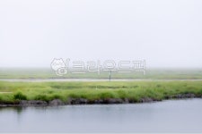 안개, 호수, 풀, 하늘, 새둥지, 사진,이미지,일러스트,캘리그라피 - MK작가 크라우드픽 - 저작권 걱정 없는 상업용 이미지